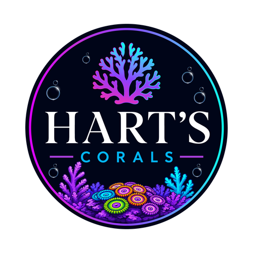 HARTS CORALS